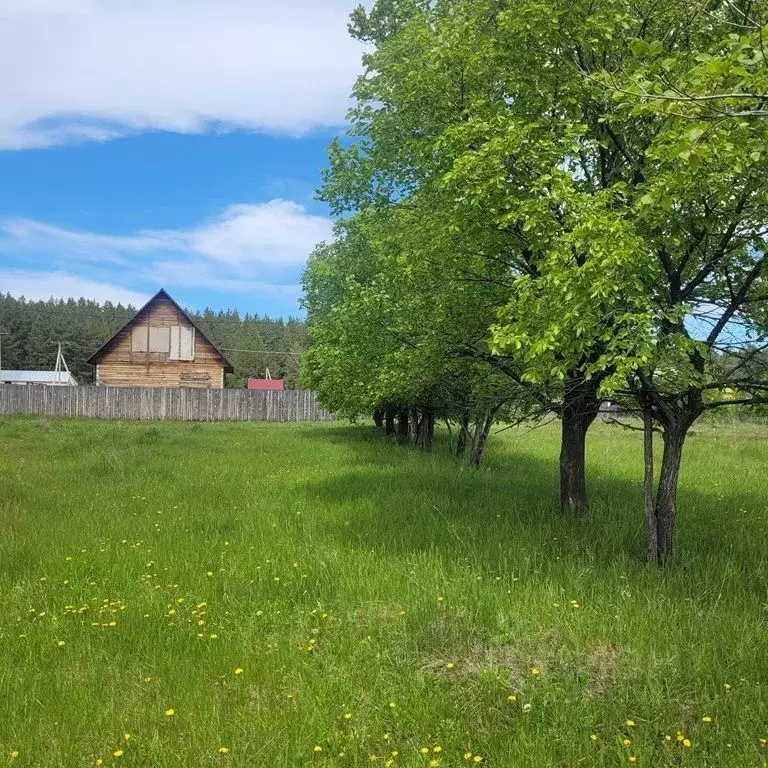 Участок в Курганская область, Кетовский муниципальный округ, с. ... - Фото 1