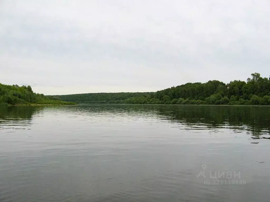 Участок в Тульская область, Ясногорский район, Иваньковское с/пос, д. ... - Фото 1