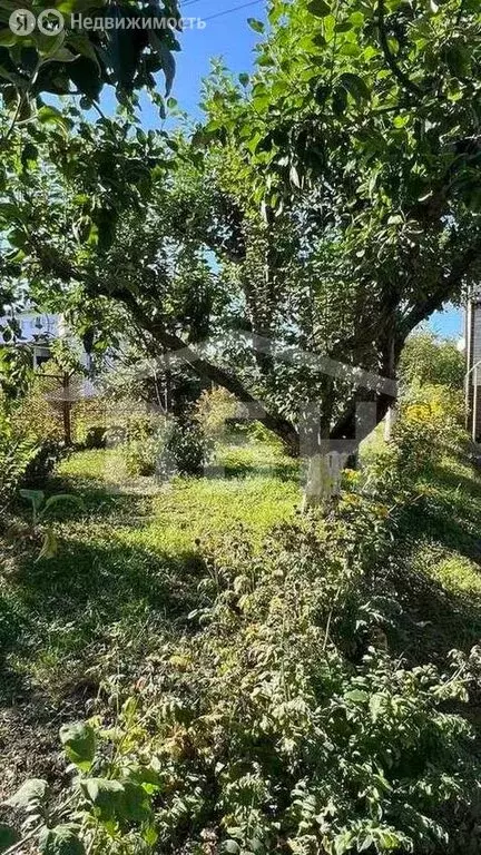 Дом в Чертовицы, Зелёная улица, 46 (160 м) - Фото 0