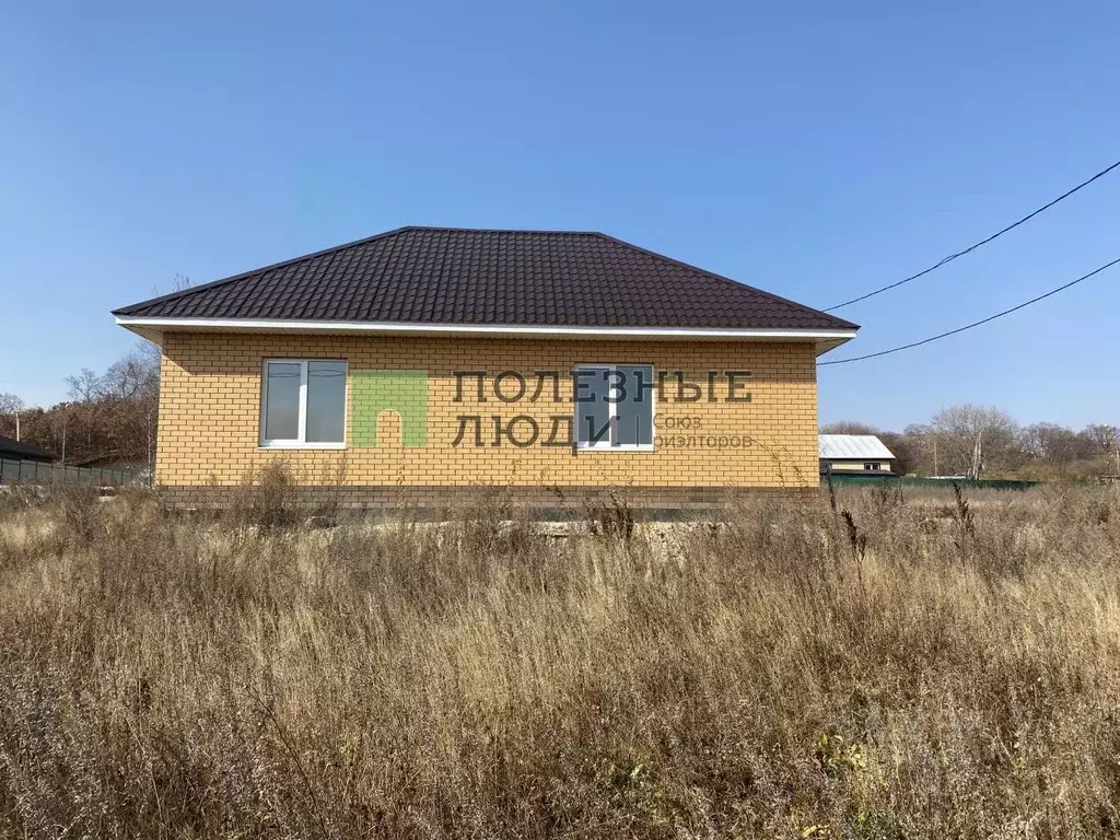 Дом в Амурская область, Благовещенский район, с. Кантон-Коммуна ул. 8 ... - Фото 1