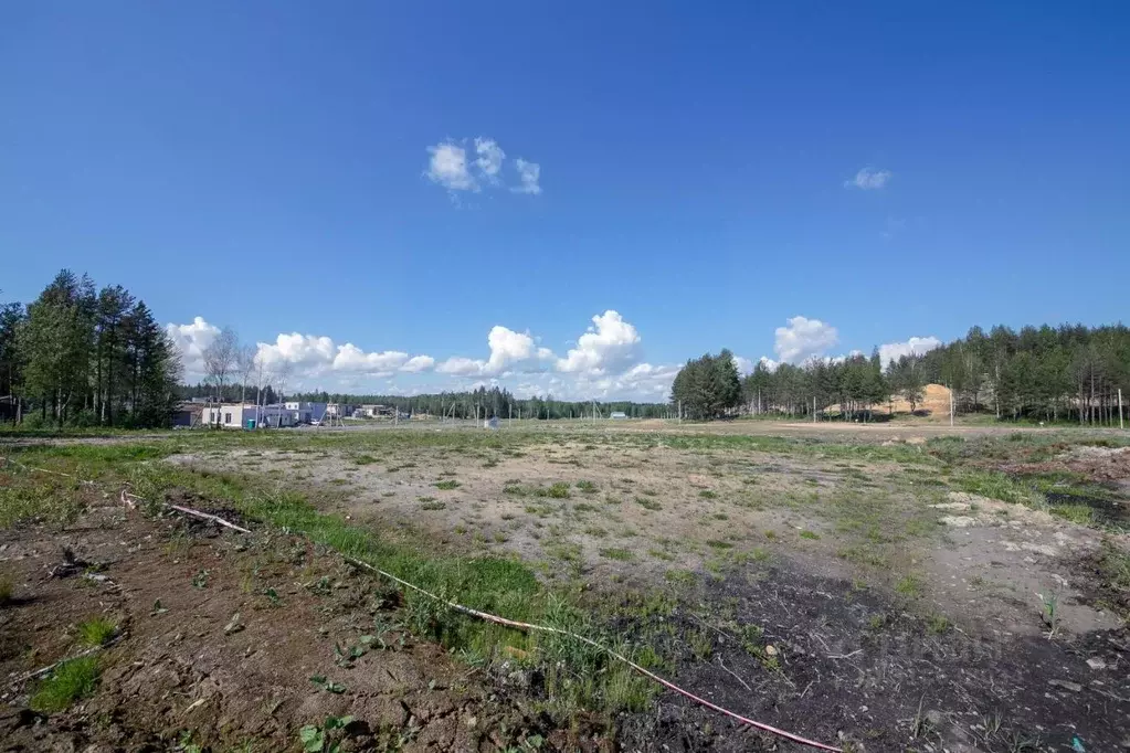 Участок в Ленинградская область, Всеволожский район, Бугровское ... - Фото 1