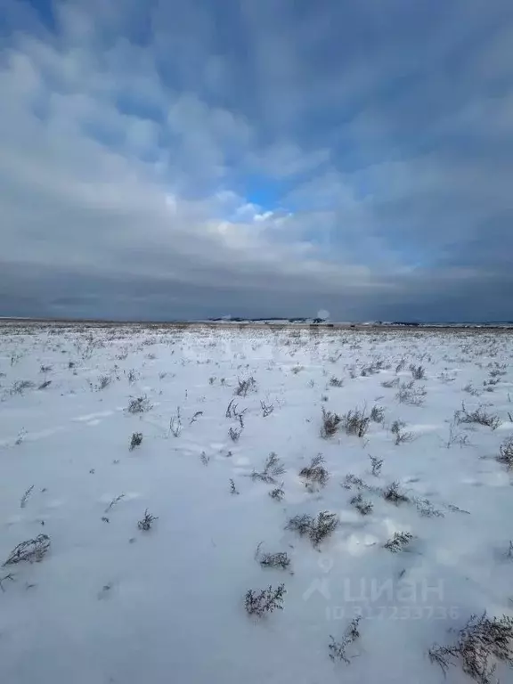 Участок в Иркутская область, Эхирит-Булагатский район, с. Кулункун  ... - Фото 1