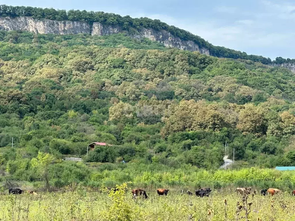 Участок в Адыгея, Майкопский район, Даховская ст-ца  (14.0 сот.) - Фото 1