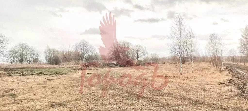 Участок в Орловская область, Урицкий район, Котовское с/пос, д. ... - Фото 1