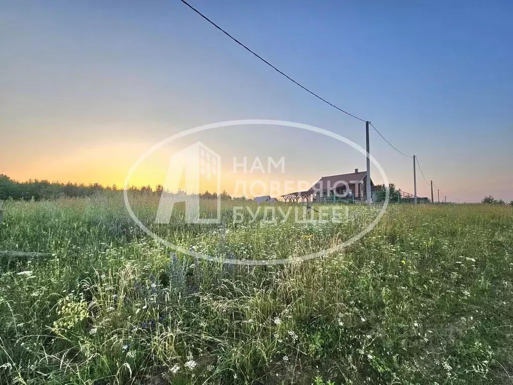 Участок в Пермский край, Чайковский городской округ, с. Фоки ул. ... - Фото 0