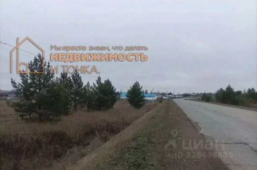 Участок в Башкортостан, Янаульский район, Кармановский сельсовет, с. ... - Фото 1