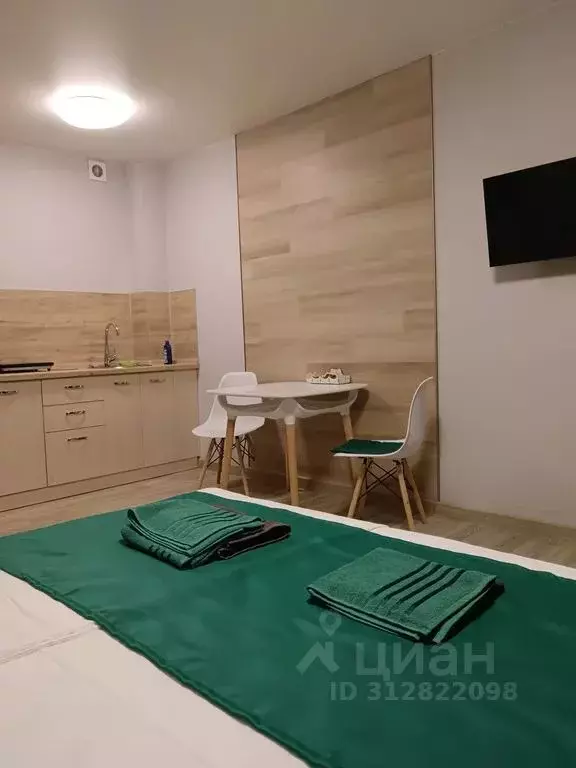 Студия Красноярский край, Красноярск Соколовская ул., 72А (27.0 м) - Фото 1