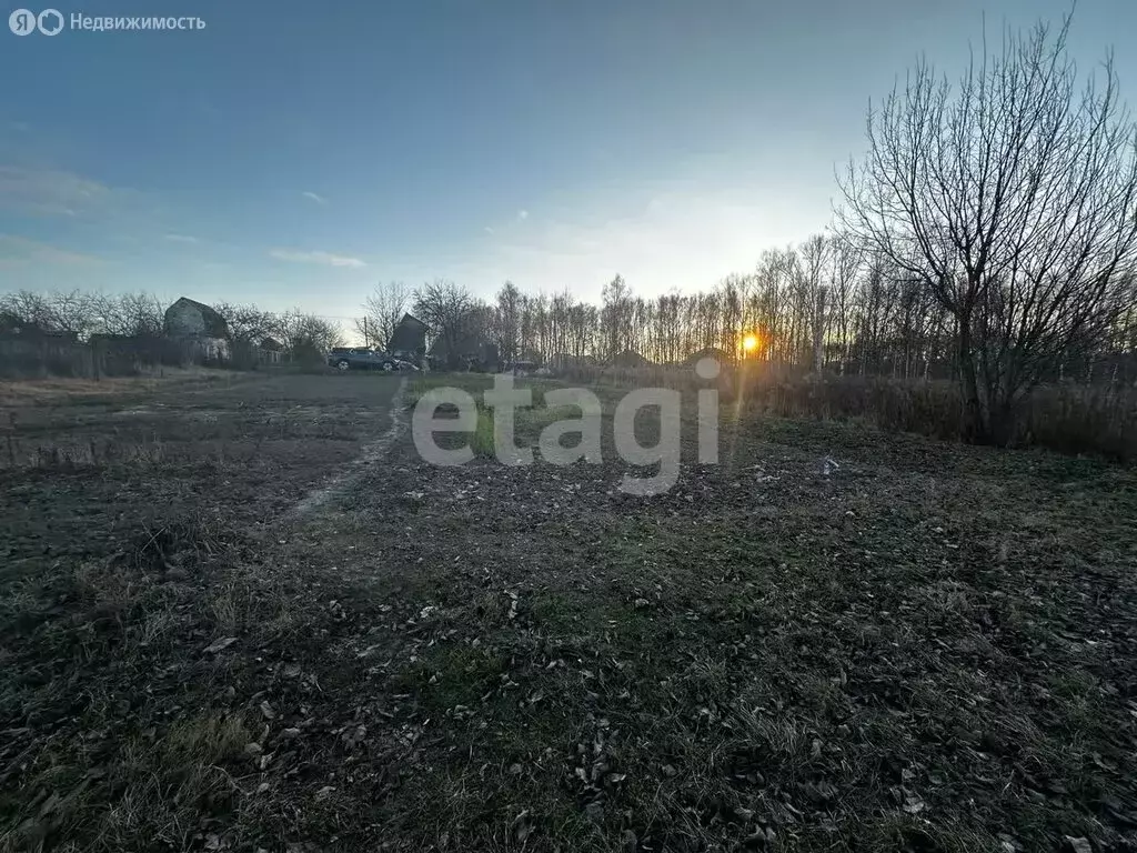 Участок в село Толмачево, СДТ Дачное (9.87 м) - Фото 1