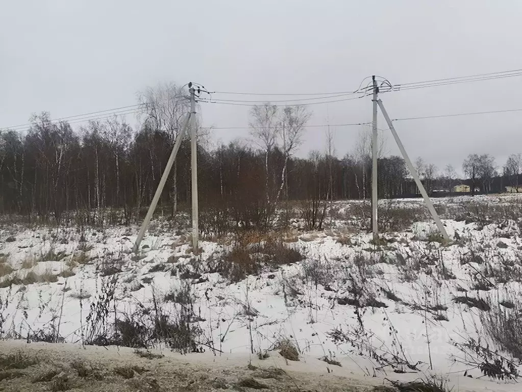 Участок в Московская область, Ступино городской округ, с. ... - Фото 0