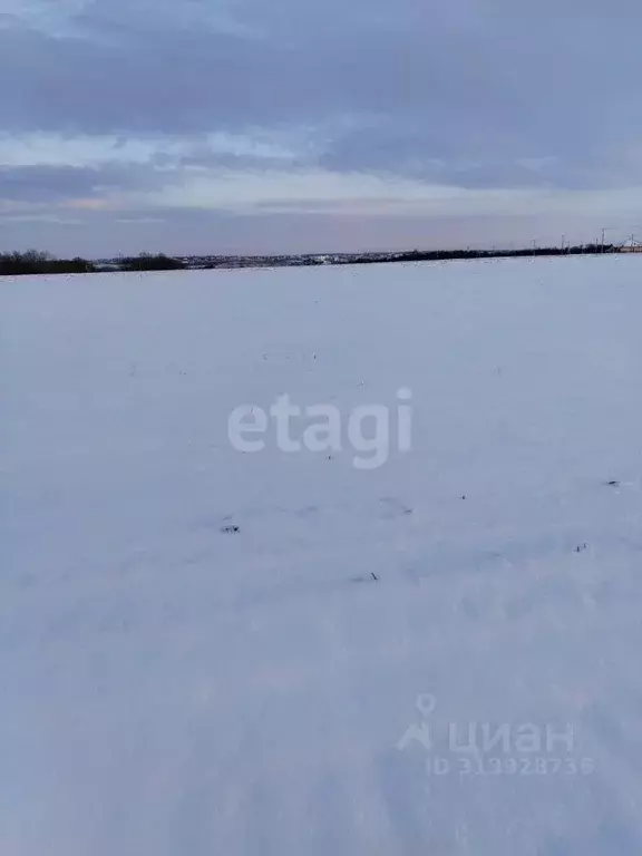 Участок в Курская область, Курский район, Нижнемедведицкий сельсовет, ... - Фото 0