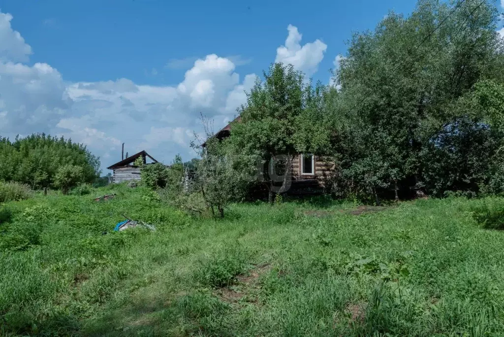 Дом в Алтайский край, Смоленский район, с. Сычевка Набережная ул., 26 ... - Фото 1