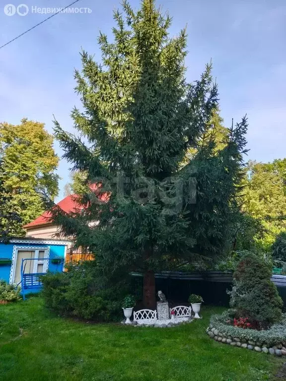 2-комнатная квартира: Светлогорск, Подгорная улица, 14 (63.4 м) - Фото 1