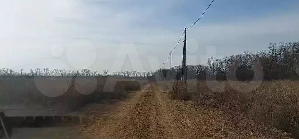 Участок 78,3 сот. (ИЖС) - Фото 0