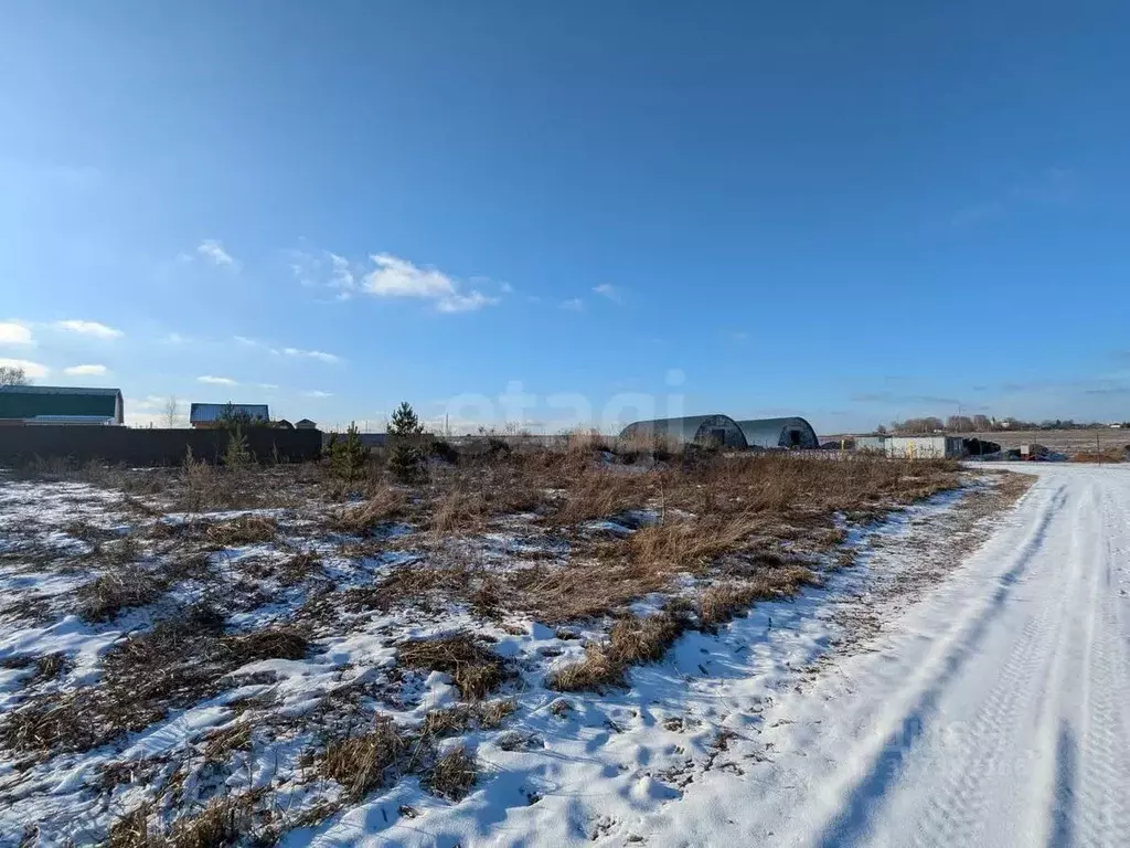 Участок в Владимирская область, Доброград муниципальный округ, д. ... - Фото 2