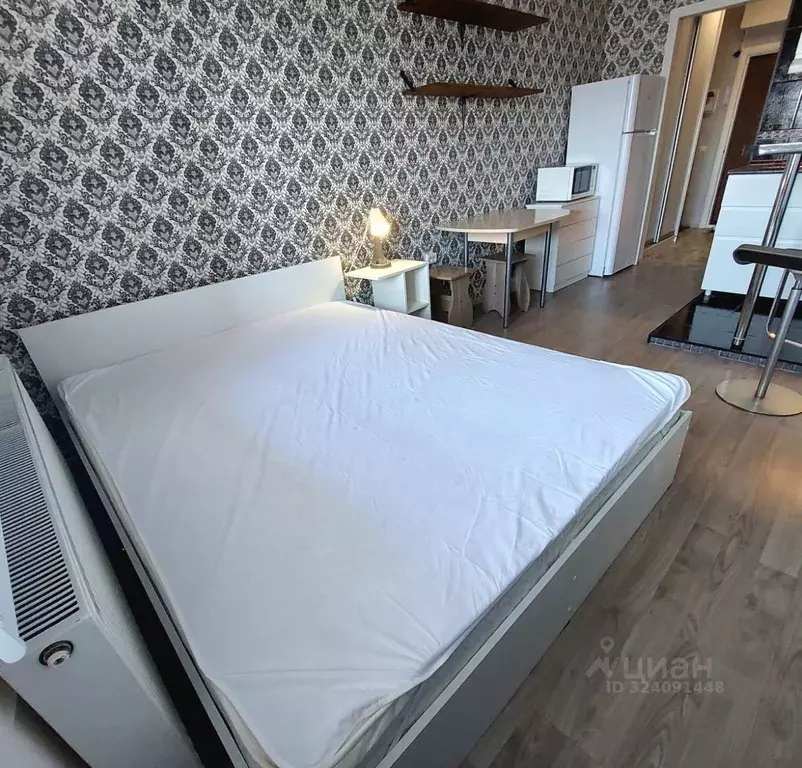 Студия Санкт-Петербург пос. Шушары, пер. Вилеровский, 6 (26.0 м) - Фото 1