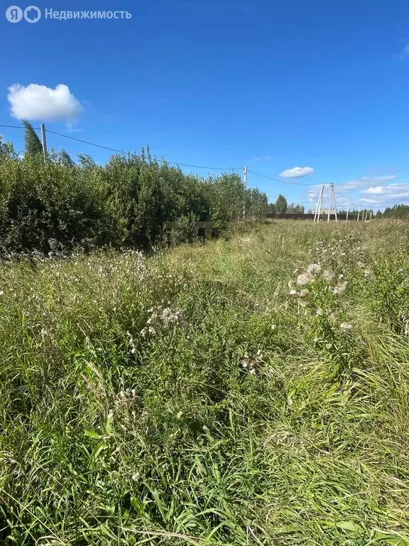 Участок в Челябинская область, Красноармейский муниципальный округ, ... - Фото 2