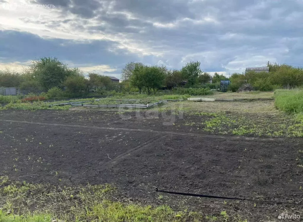 Участок в село Стрелецкое, садоводческое некоммерческое товарищество ... - Фото 2