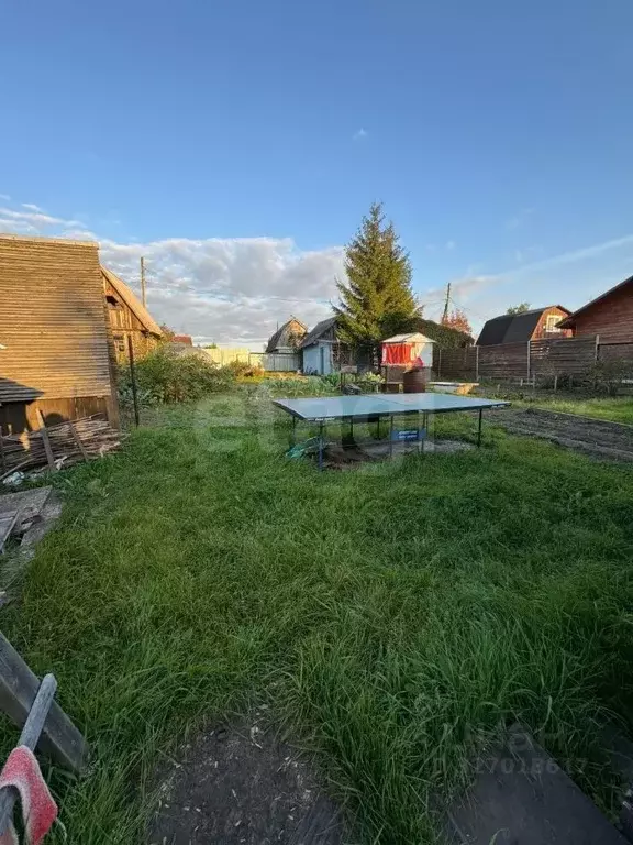 Дом в Новосибирская область, Новосибирск Маяк СНТ, ул. Центральная (19 ... - Фото 1