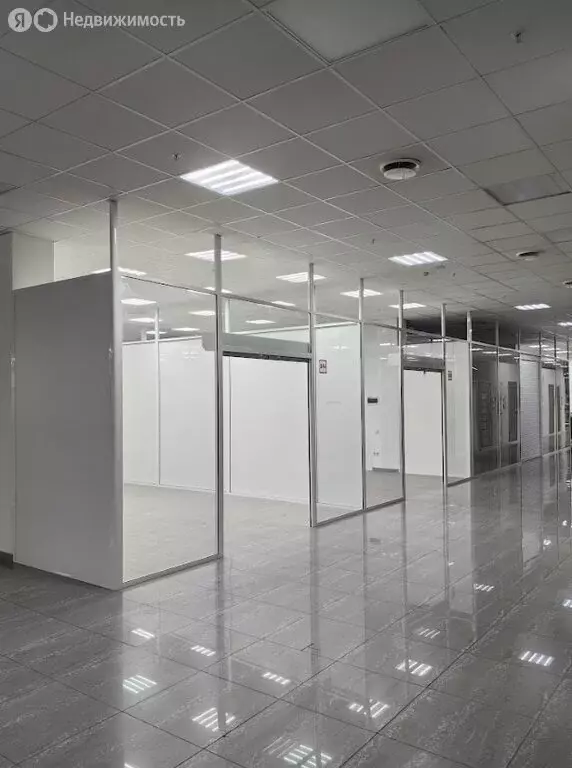 Торговая площадь (31.5 м) - Фото 2