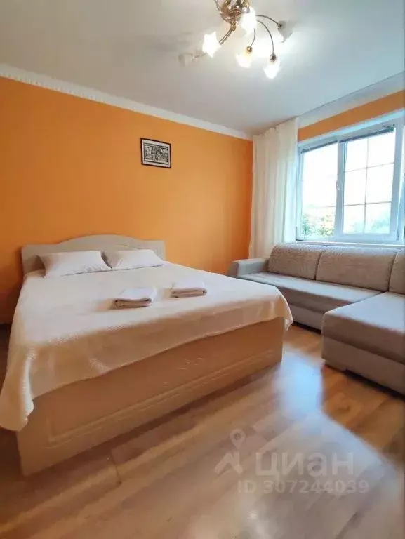 1-к кв. Татарстан, Набережные Челны Московский просп., 141 (30.0 м) - Фото 1