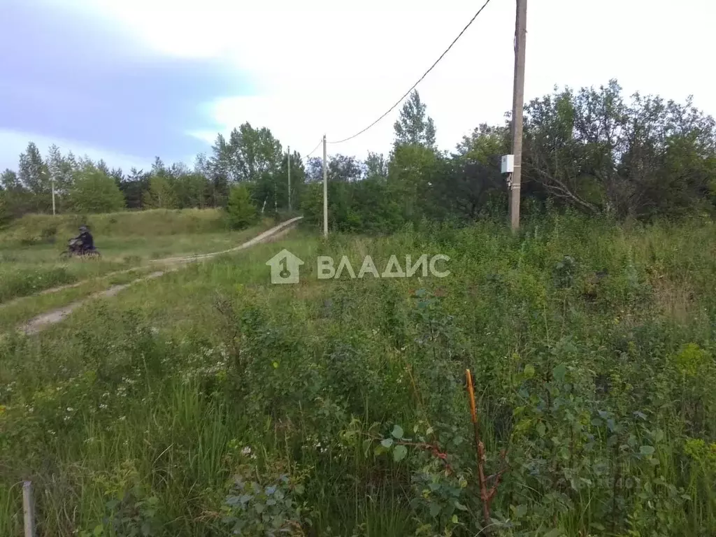 Участок в Воронежская область, Семилукский район, Девицкое с/пос, ... - Фото 2