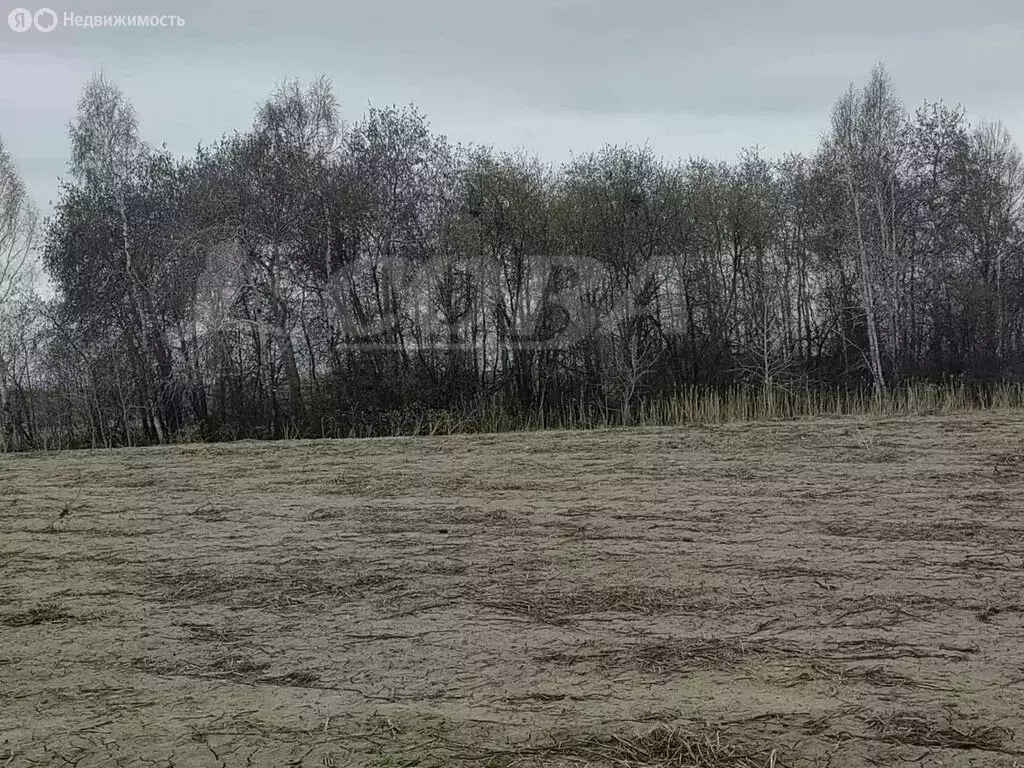 Участок в Каскаринское муниципальное образование (12 м) - Фото 0