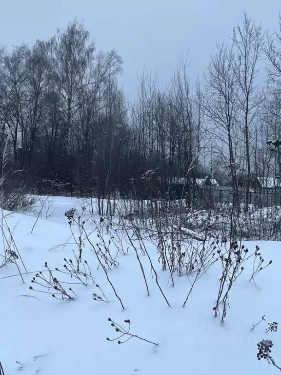 Участок в Московская область, Одинцовский городской округ, с. ... - Фото 0