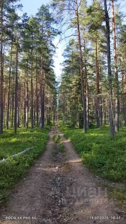 Дом в Ленинградская область, Выборгский район, Полянское с/пос, пос. ... - Фото 2