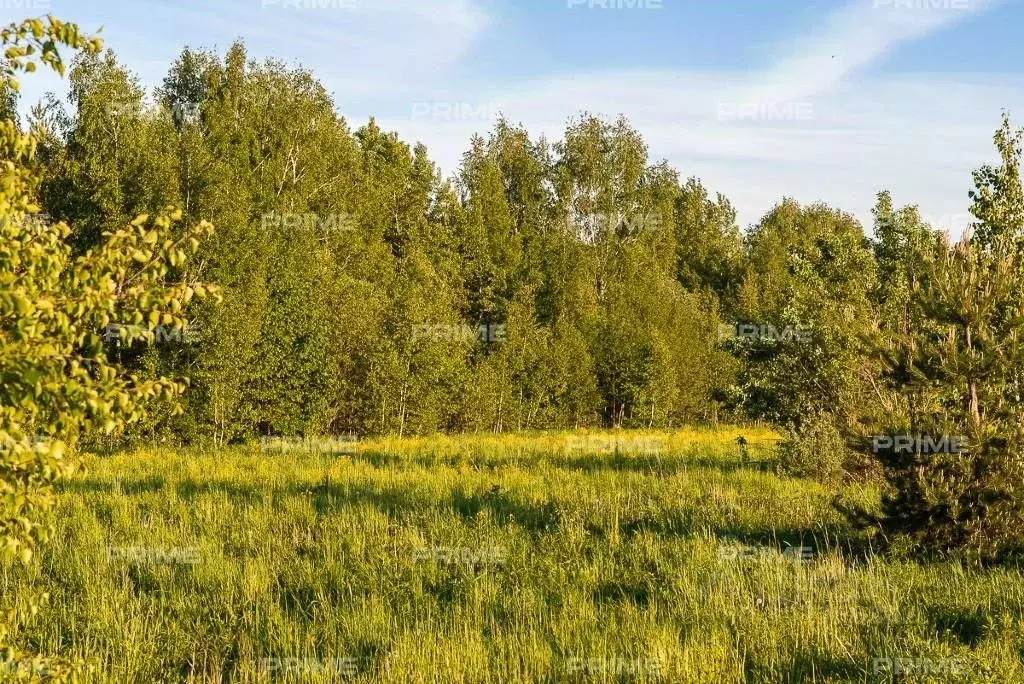 Участок в Московская область, Одинцовский городской округ, д. Дарьино, ... - Фото 1