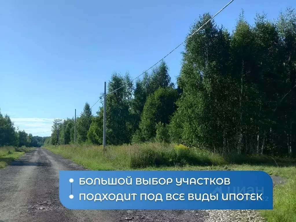 Участок в Нижегородская область, Богородский муниципальный округ, д. ... - Фото 1