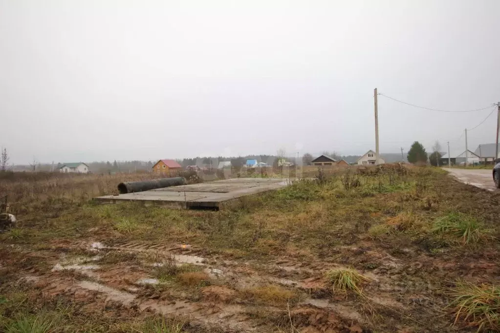 Участок в Вологодская область, Шекснинский муниципальный округ, д. ... - Фото 1