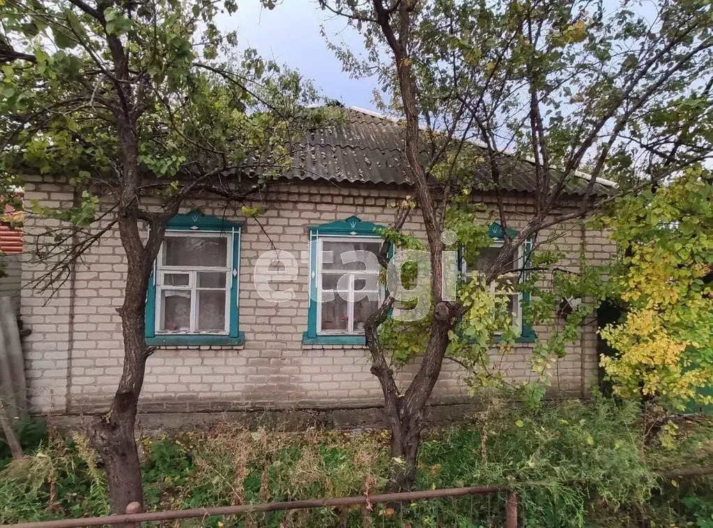 Дом в Белгородская область, Алексеевка ул. Некрасова (62 м) - Фото 0