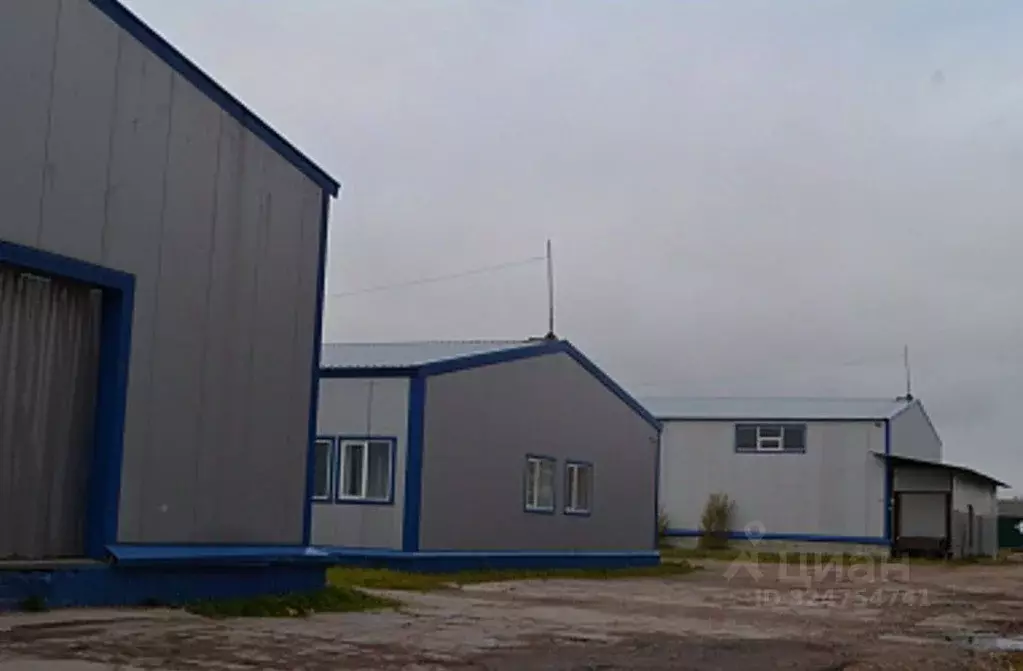 Производственное помещение в Ленинградская область, Ломоносовский ... - Фото 1