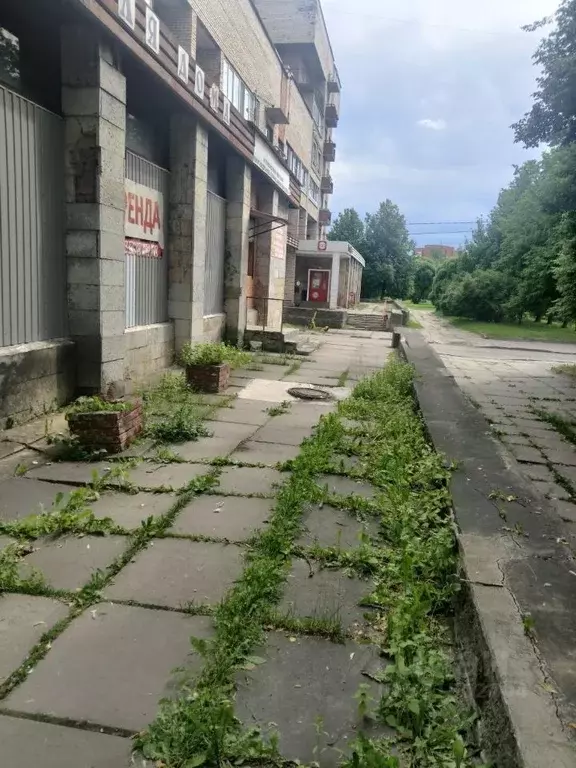 Помещение свободного назначения в Ленинградская область, Отрадное ... - Фото 1