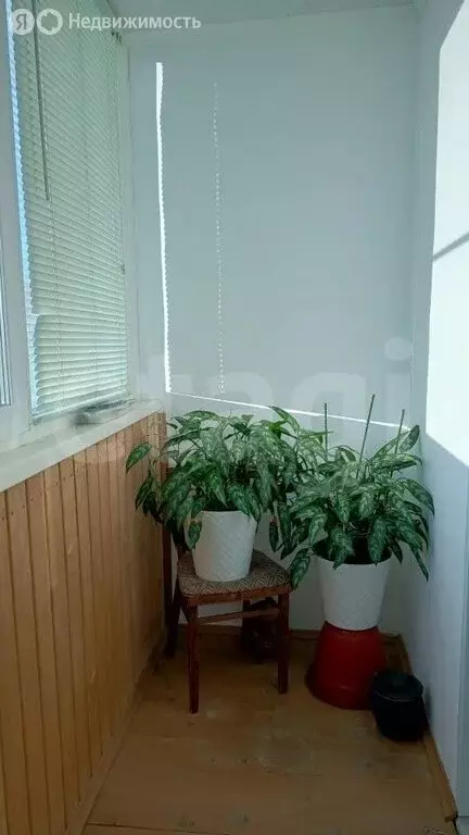 1-комнатная квартира: село Молочное, улица Шмидта, 18 (38 м) - Фото 2