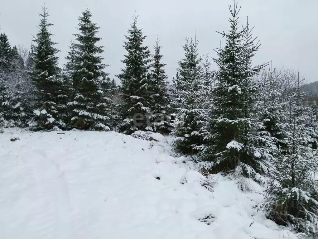 Участок в Свердловская область, Нижний Тагил муниципальный округ, пос. ... - Фото 1