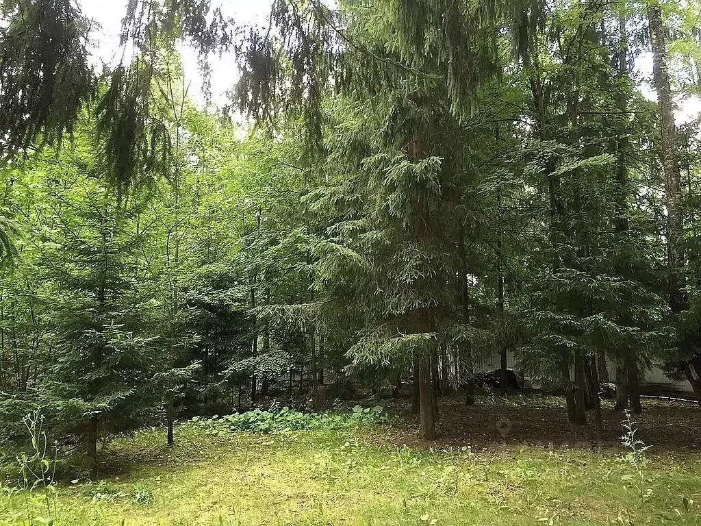 Участок в Московская область, Одинцовский городской округ, пос. дома ... - Фото 1