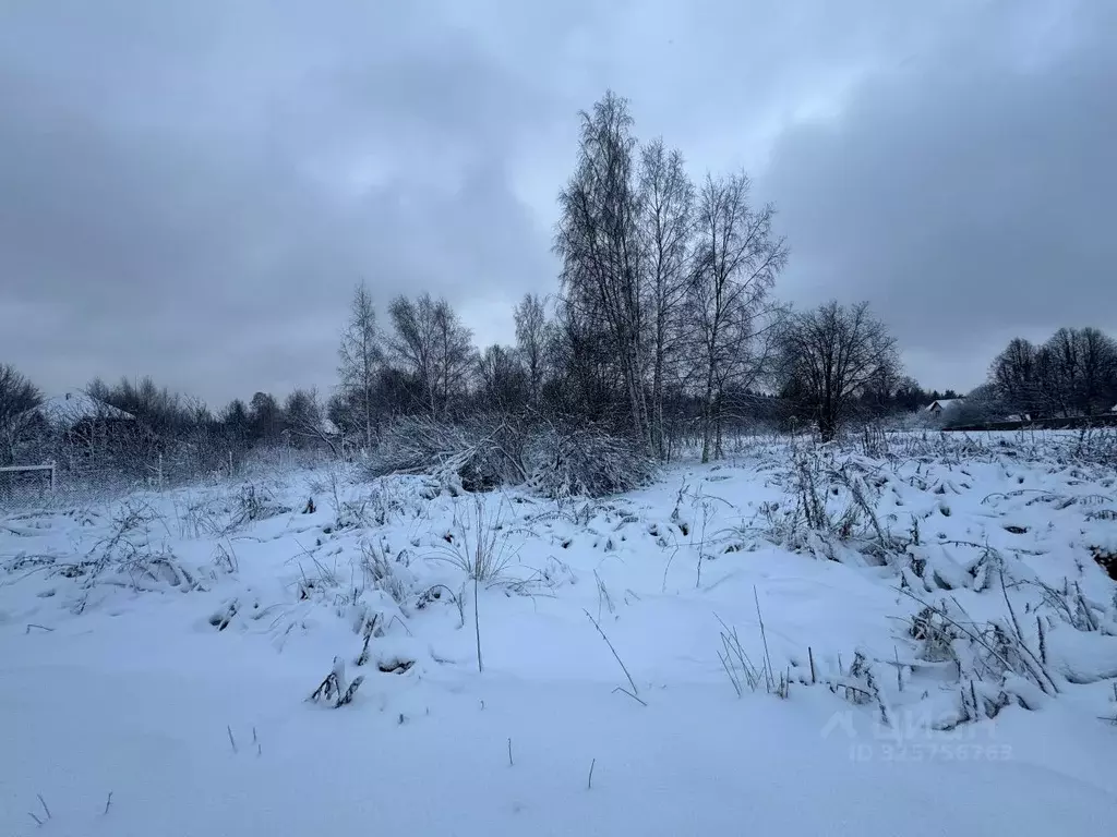 Участок в Московская область, Волоколамский муниципальный округ, д. ... - Фото 2