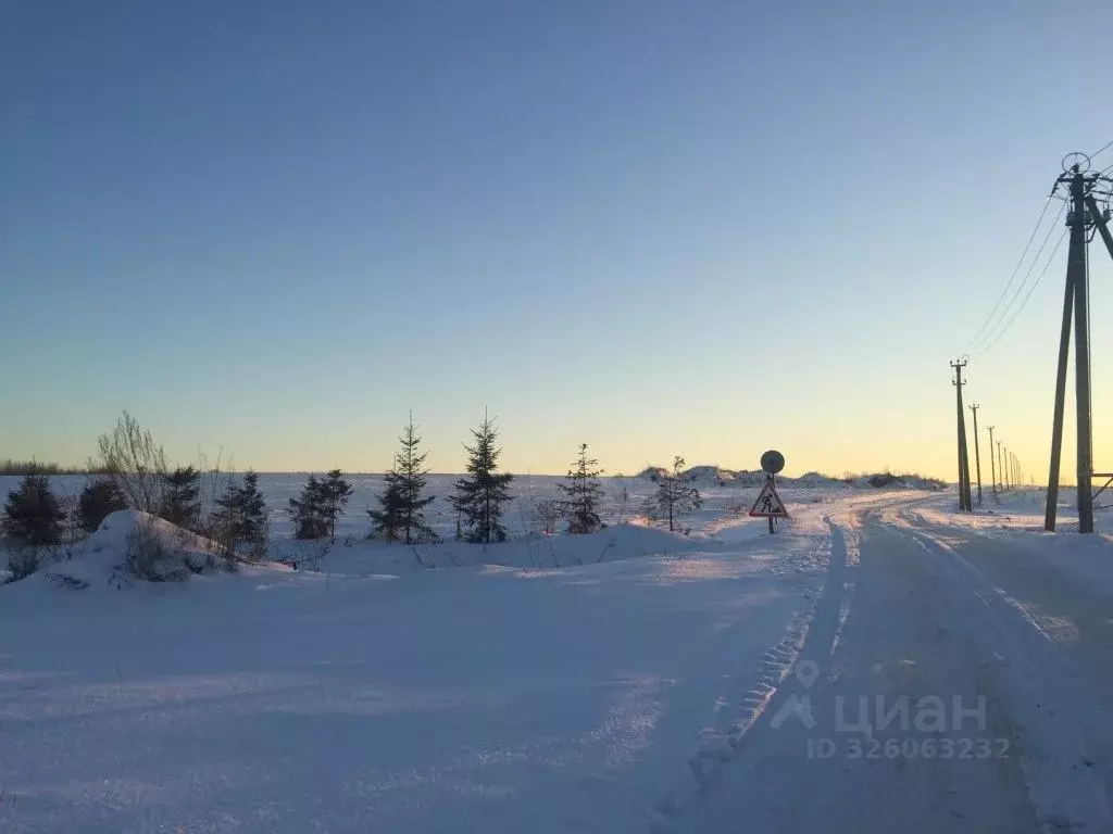 Участок в Ленинградская область, Ломоносовский район, Ропшинское ... - Фото 2