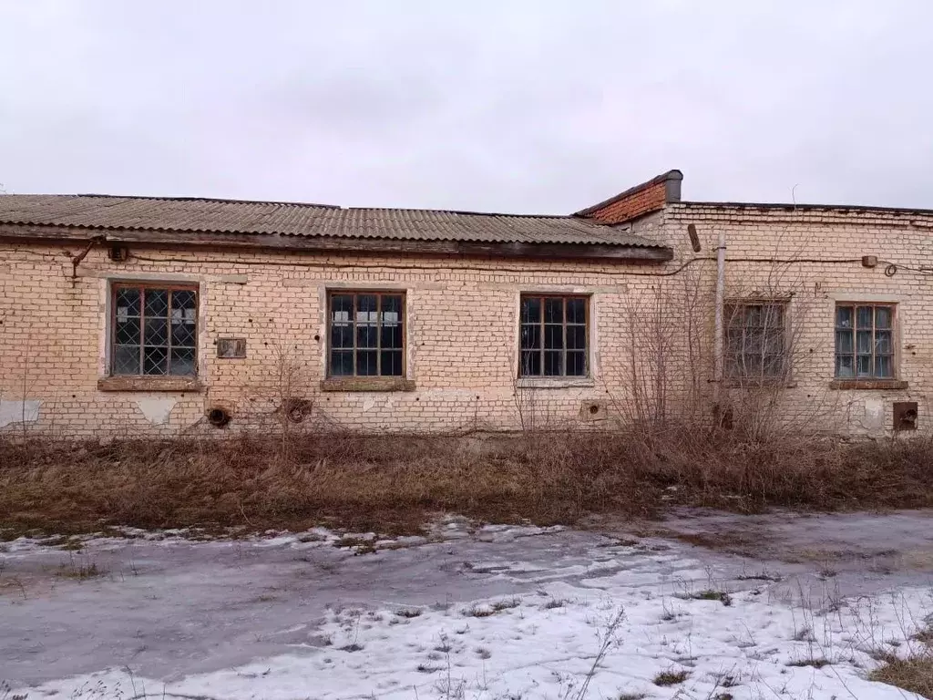 Помещение свободного назначения в Волгоградская область, Жирновск ... - Фото 1