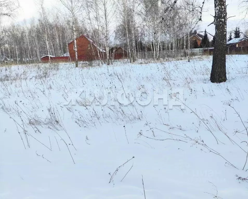 Участок в Новосибирская область, Новосибирский район, с. Боровое ул. ... - Фото 1