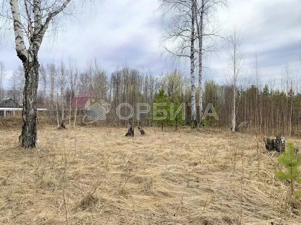 Участок в Тюменская область, Нижнетавдинский район, Сочинские СНТ 10-я ... - Фото 1