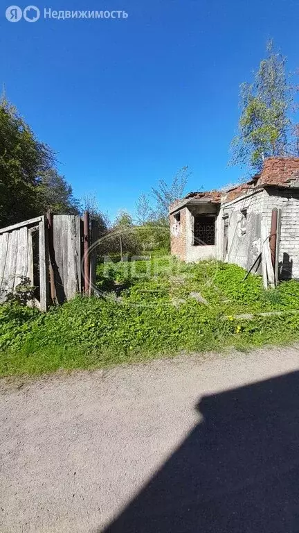 Участок в Калининград, СНТ Дружба-3, Вишнёвая улица, 17 (8 м) - Фото 1