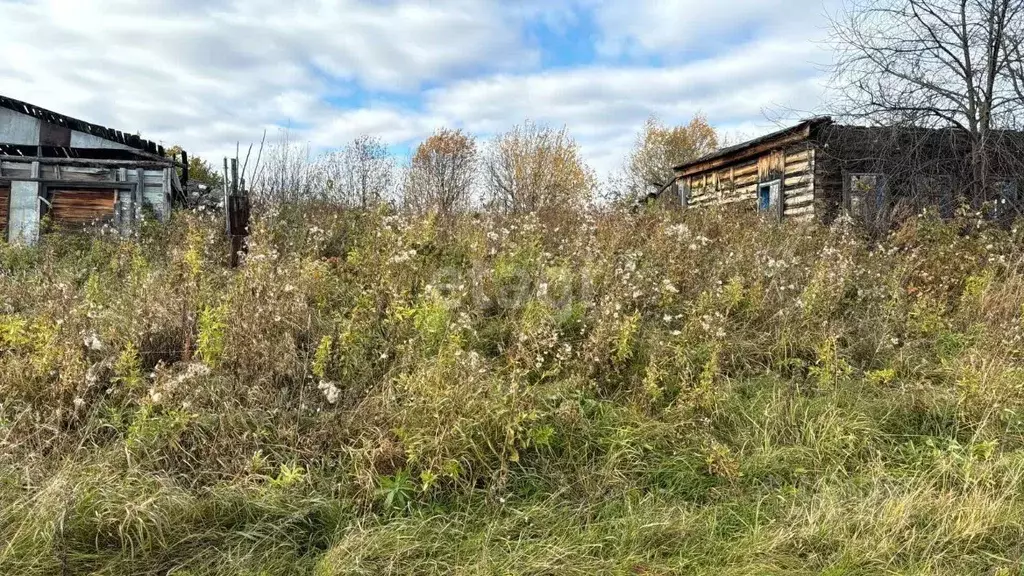 Участок в Томская область, Кожевниковский район, д. Сафроновка ... - Фото 1