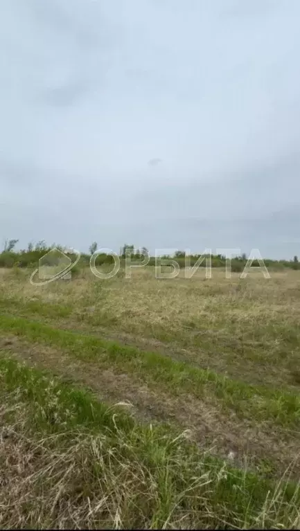 Участок в Тюменская область, Тюменский район, с. Борки  (23.0 сот.) - Фото 1