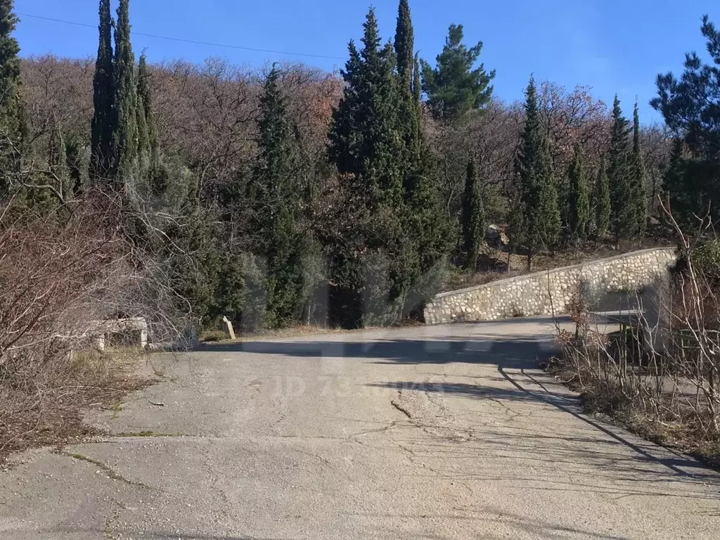 Нижняя ореанда дача брежнева. Дача олива. Олива ялта поселок. Дача олива. Дача олива.