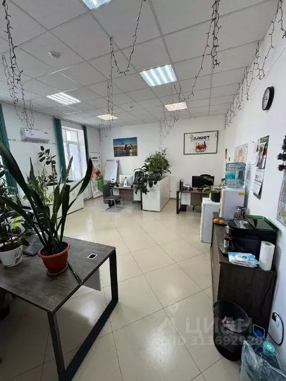 Офис в Белгородская область, Белгород ул. Пирогова, 45 (21 м) - Фото 1