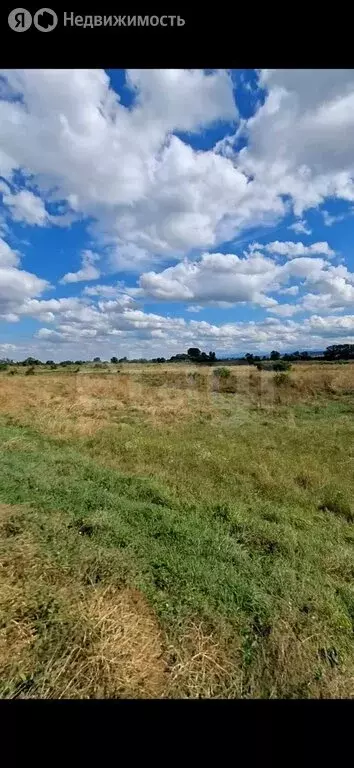 Участок в Сунженский район, станица Троицкая (300 м) - Фото 2