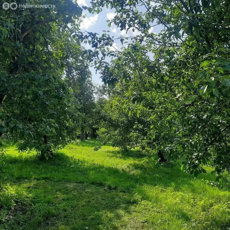 Дом в Киреевский район, сельское поселение Богучаровское, деревня ... - Фото 0