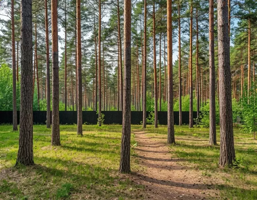 Участок в Московская область, Рузский муниципальный округ, д. ... - Фото 1